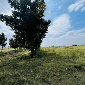 BÁN ĐẤT 40000M2 TRONG KCN KIM HUY - TPHCM | BÌNH DƯƠNG CŨ